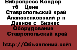 Вибропресс Кондор 1-90тб › Цена ­ 280 000 - Ставропольский край, Апанасенковский р-н, Дивное с. Бизнес » Оборудование   . Ставропольский край